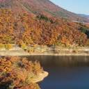 🚀 DJI Neo 2 × Goggles 3／Remote Controller 3 秋の紅葉フライトレビュー