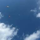 R7勝浦パラグライダー大会をFPVドローンで空撮してきました！🪂🚁