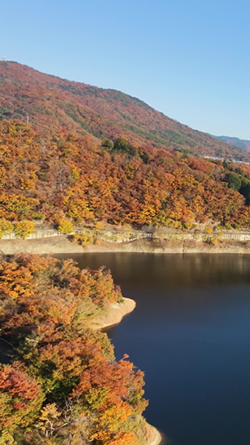 DJI Neo 2 × Goggles 3／Remote Controller 3 秋の紅葉フライトレビュー｜FPVワークス／FPV WORKS／FPVドローン／ドローン／空撮屋／大阪 京都 神戸 兵庫 奈良 和歌山 三重